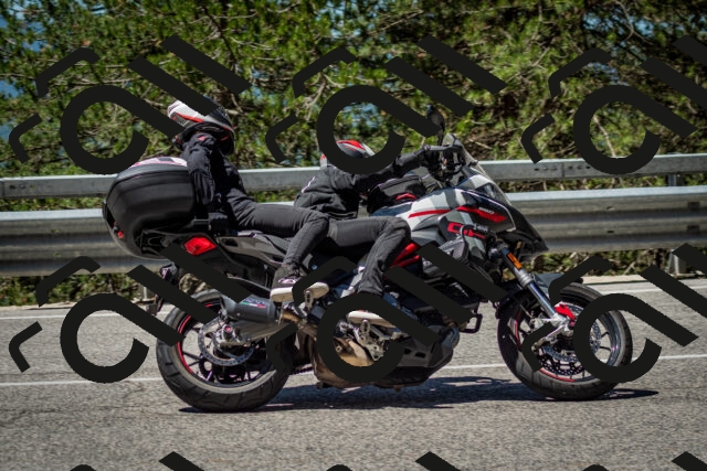 202506291130-DSC_2841_c2