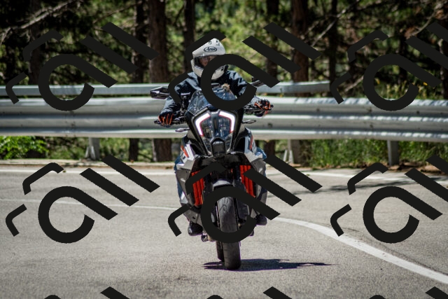 202506291130-DSC_2842_c2