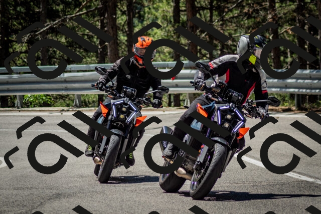 202506291131-DSC_2845_c2