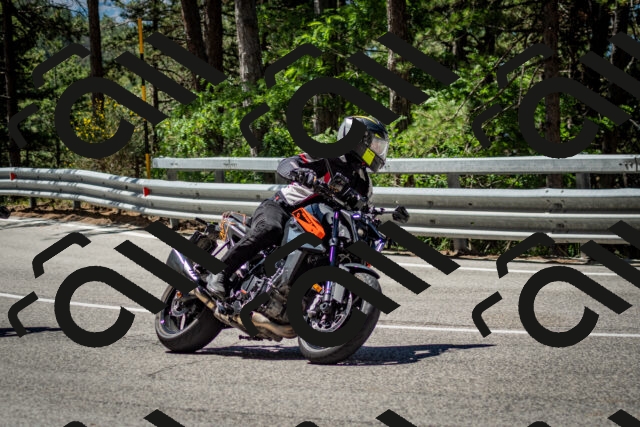 202506291131-DSC_2846_c2