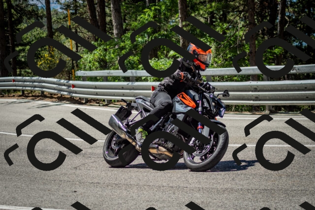 202506291131-DSC_2847_c2