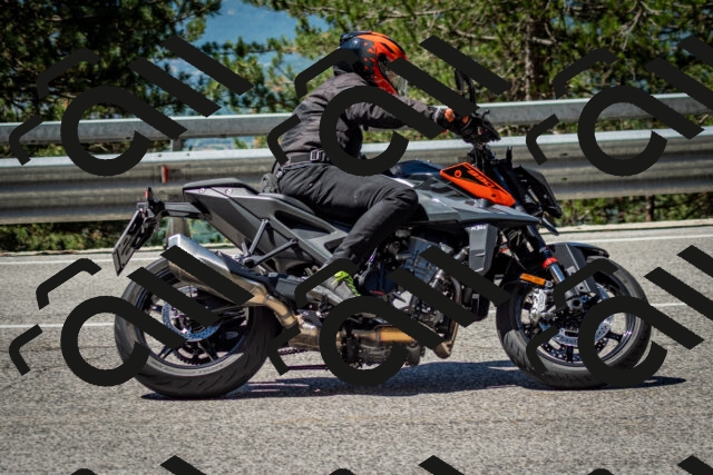 202506291131-DSC_2848_c2