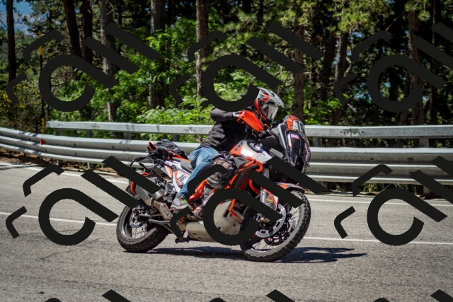 202506291131-DSC_2849_c2