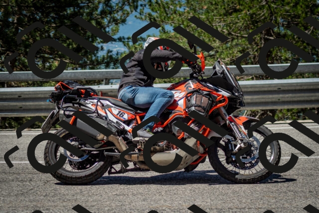 202506291131-DSC_2850_c2