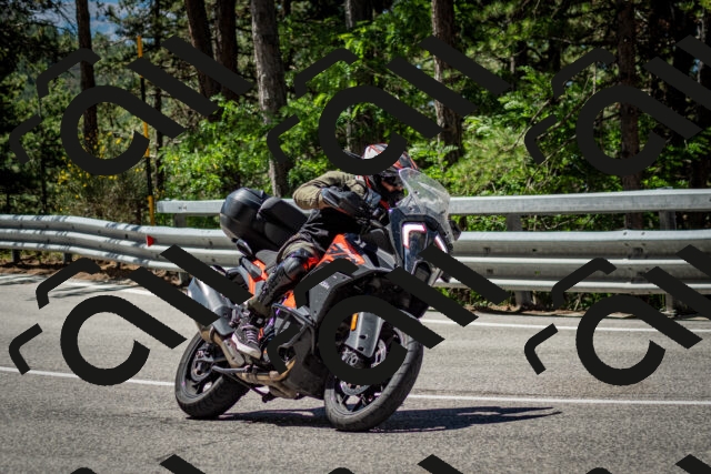 202506291131-DSC_2851_c2