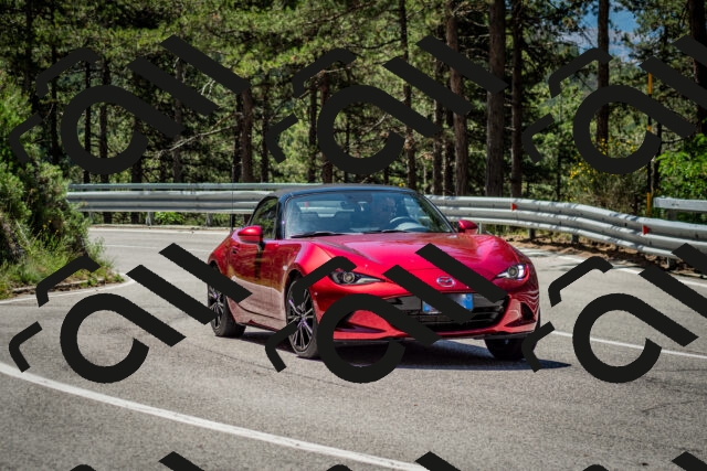 202506291131-DSC_2854_c2