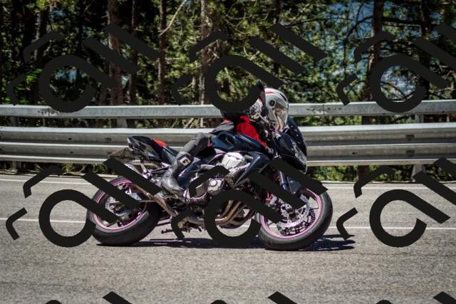 202506291131-DSC_2856_c2