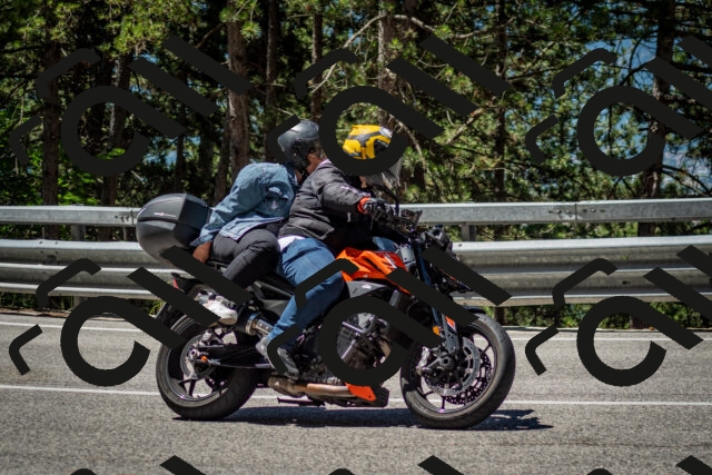 202506291131-DSC_2857_c2