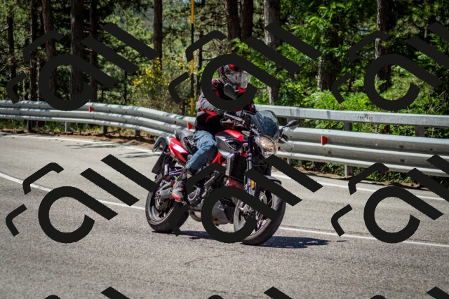 202506291131-DSC_2860_c2