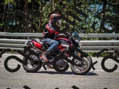 202506291131-DSC_2861_c2