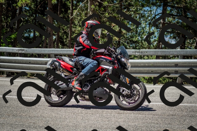 202506291131-DSC_2861_c2