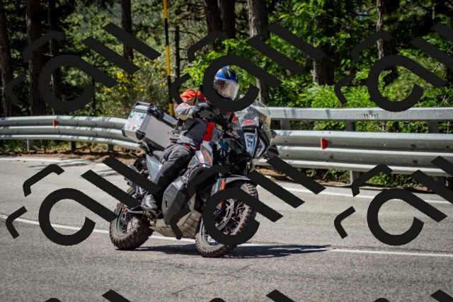 202506291131-DSC_2865_c2