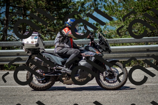 202506291131-DSC_2866_c2