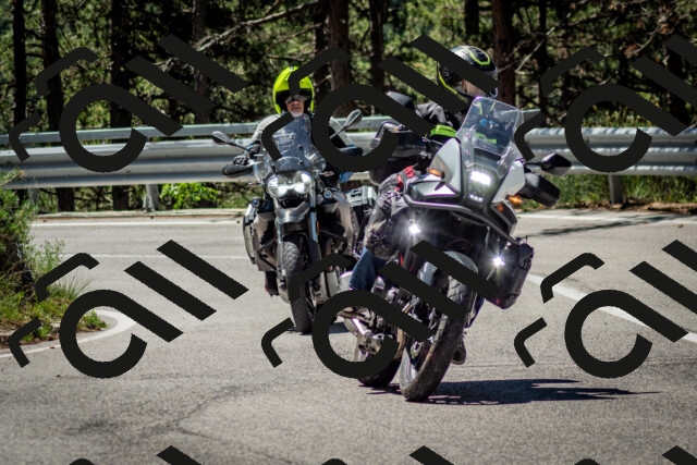 202506291132-DSC_2869_c2