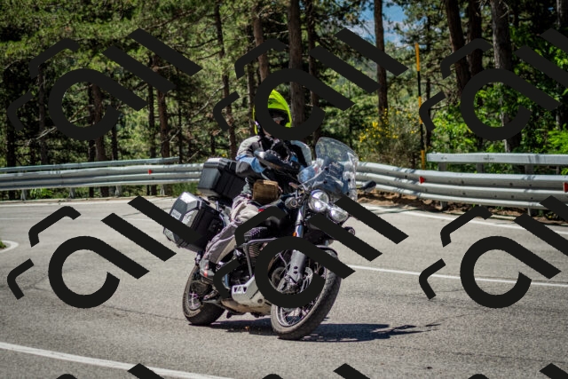 202506291132-DSC_2871_c2