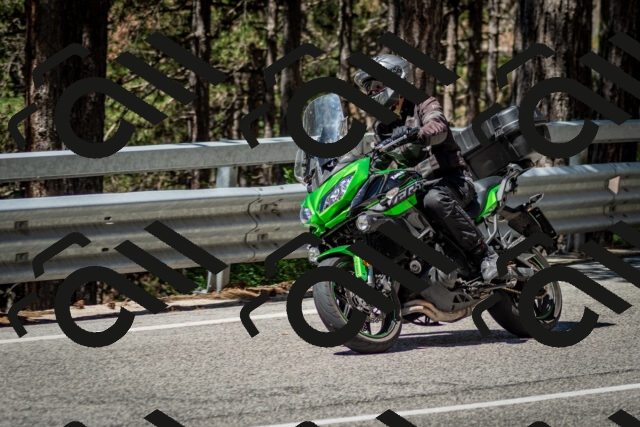 202506291134-DSC_2879_c2