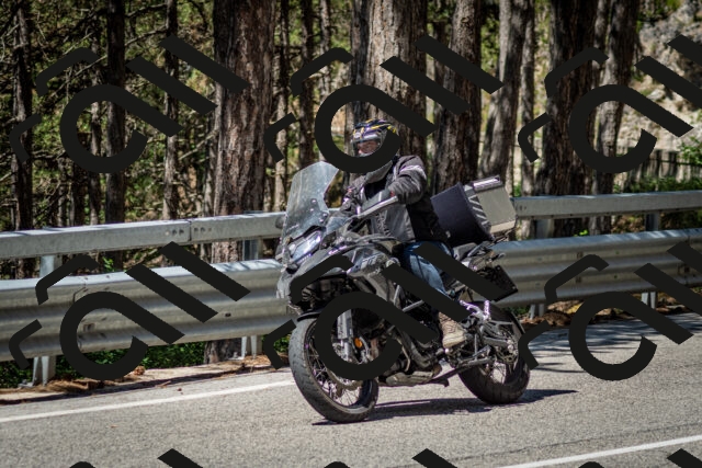 202506291135-DSC_2883_c2