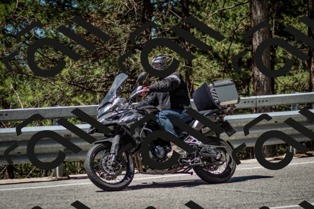 202506291135-DSC_2884_c2