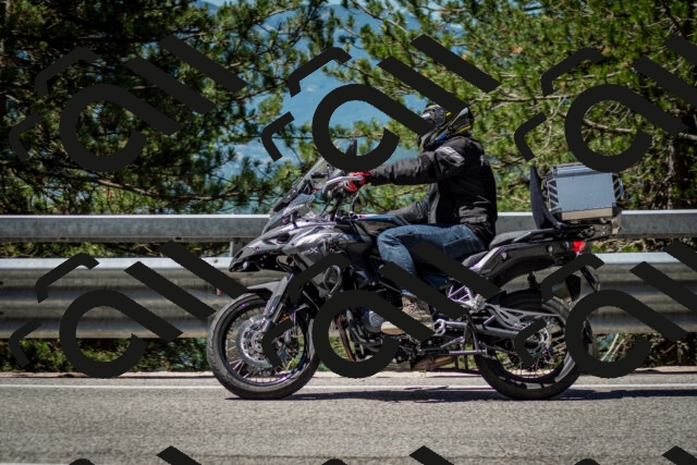 202506291135-DSC_2885_c2