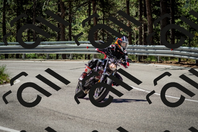 202506291136-DSC_2886_c2