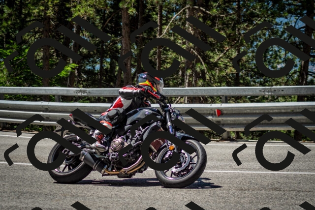 202506291136-DSC_2887_c2