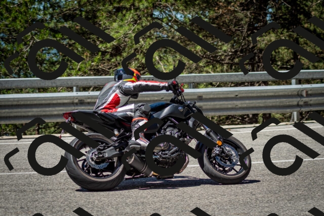 202506291136-DSC_2888_c2