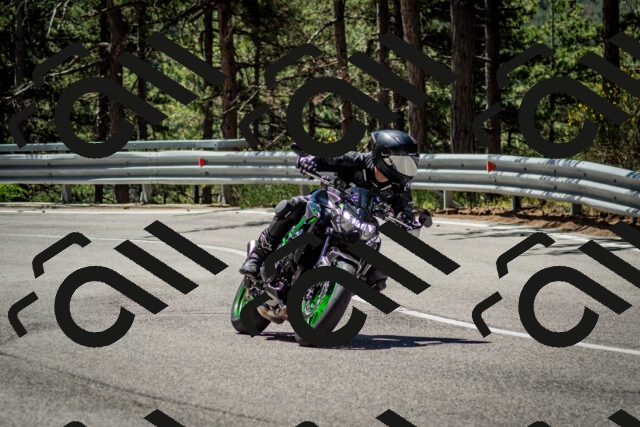 202506291136-DSC_2889_c2