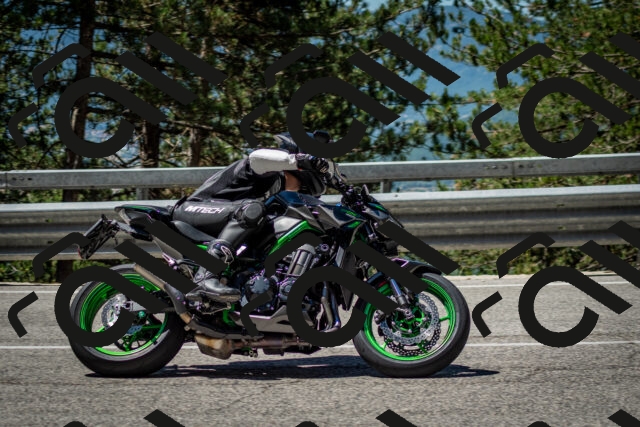 202506291136-DSC_2890_c2