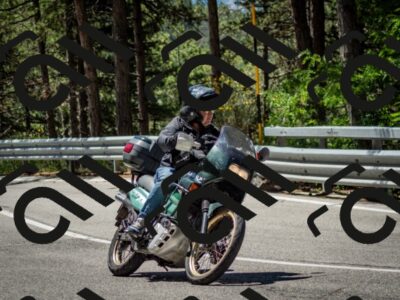 202506291136-DSC_2893_c2