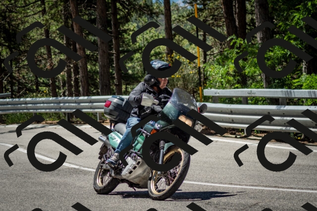 202506291136-DSC_2893_c2