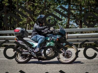 202506291136-DSC_2894_c2