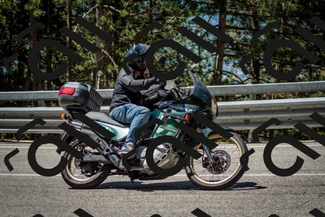 202506291136-DSC_2894_c2