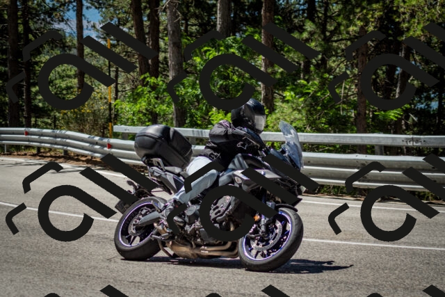 202506291137-DSC_2896_c2