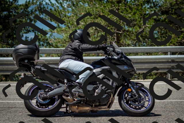 202506291137-DSC_2897_c2