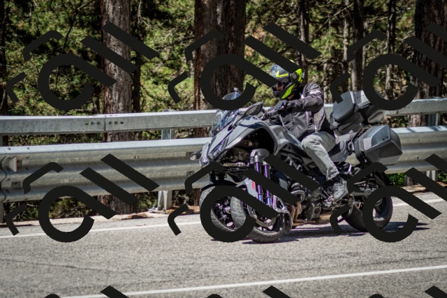 202506291138-DSC_2901_c2