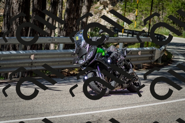 202506291139-DSC_2903_c2