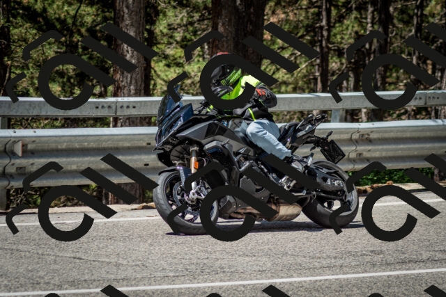 202506291139-DSC_2908_c2