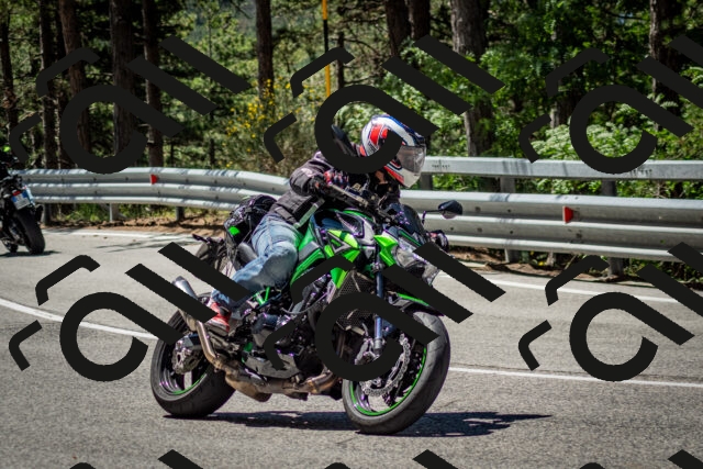 202506291139-DSC_2910_c2