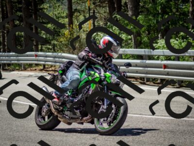 202506291139-DSC_2910_c2