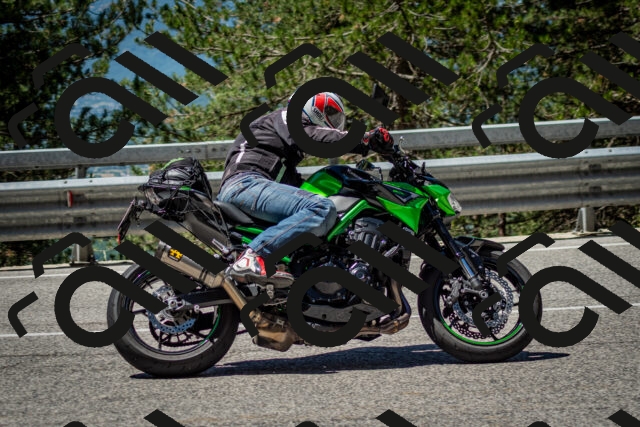 202506291139-DSC_2911_c2