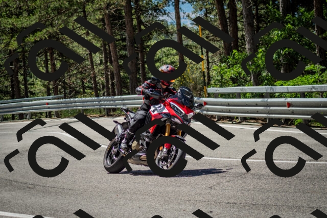 202506291140-DSC_2914_c2