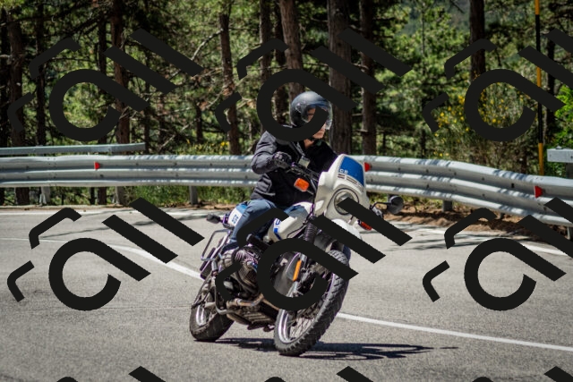 202506291140-DSC_2916_c2