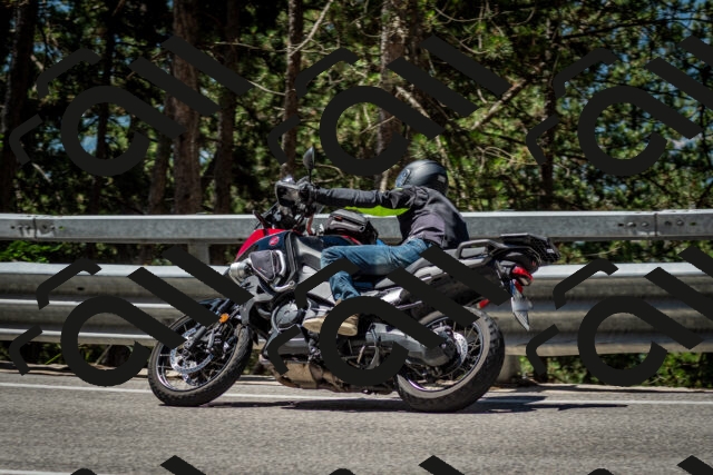 202506291140-DSC_2918_c2