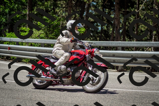 202506291140-DSC_2920_c2