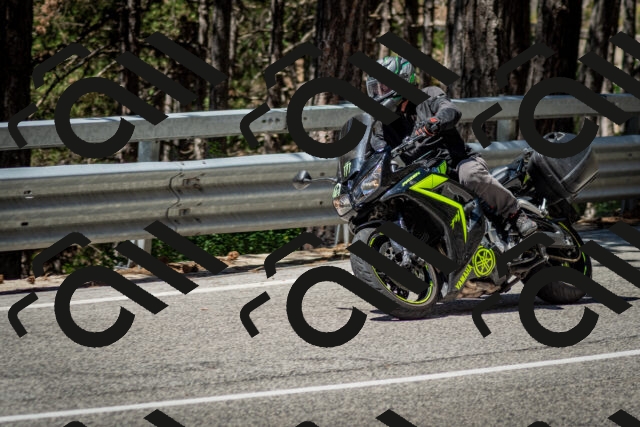 202506291140-DSC_2921_c2