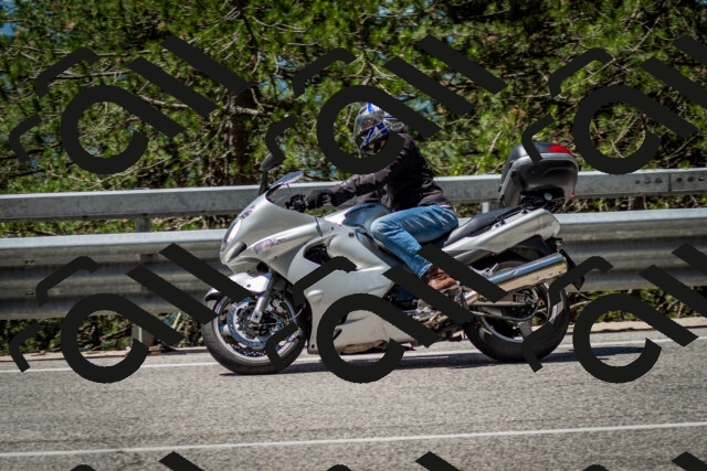 202506291140-DSC_2923_c2