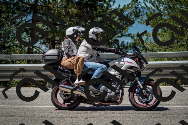 202506291141-DSC_2925_c2