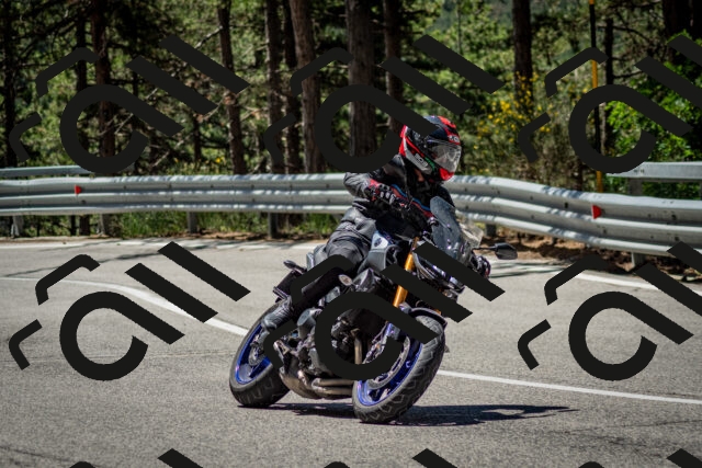 202506291141-DSC_2926_c2