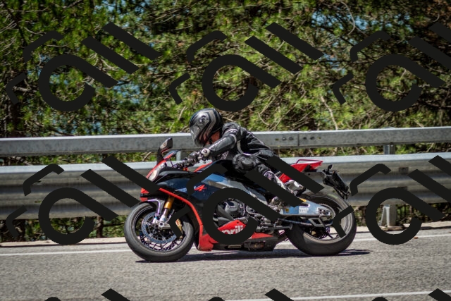 202506291142-DSC_2929_c2