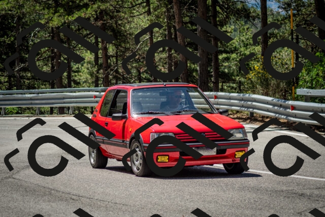 202506291143-DSC_2935_c2